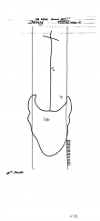 DE5400-PO-58294 - Typ:1 - ID: 44113 - Eintrag Nr.: 3 Wasserzeichen DE5400-PO-58294