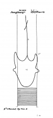 Wasserzeichen DE5400-PO-58737