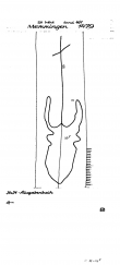 DE5400-PO-58972 - Typ:1 - ID: 44167 - Eintrag Nr.: 1 Wasserzeichen DE5400-PO-58972