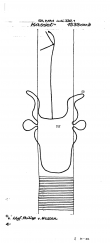 DE5400-PO-63629 - Typ:1 - ID: 44217 - Eintrag Nr.: 6 Wasserzeichen DE5400-PO-63629