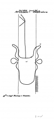 DE5400-PO-63631 - Typ:1 - ID: 44218 - Eintrag Nr.: 23 Wasserzeichen DE5400-PO-63631