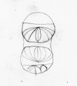 Wasserzeichen DE5580-2Incca1194b_X