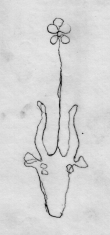 Wasserzeichen DE5580-Cgm3559_176