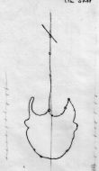 Wasserzeichen DE5580-Cgm3711_XXXXX