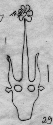DE5580-Cgm5499_29 - Typ:0 - ID: 44550 - Eintrag Nr.: 51 Wasserzeichen DE5580-Cgm5499_29