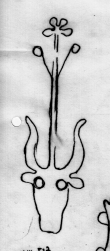 DE5580-Clm14172_X - Typ:0 - ID: 45132 - Eintrag Nr.: 48 Wasserzeichen DE5580-Clm14172_X