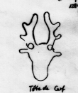 DE5580-Clm14186_XXXXXX - Typ:0 - ID: 45172 - Eintrag Nr.: 6 Wasserzeichen DE5580-Clm14186_XXXXXX