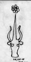 DE5580-Clm14254_XX - Typ:0 - ID: 45355 - Eintrag Nr.: 2 Wasserzeichen DE5580-Clm14254_XX