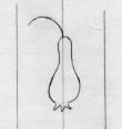 DE5580-Clm14302_202 - Typ:0 - ID: 45578 - Eintrag Nr.: 10 Wasserzeichen DE5580-Clm14302_202
