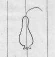 DE5580-Clm14302_206 - Typ:0 - ID: 45579 - Eintrag Nr.: 11 Wasserzeichen DE5580-Clm14302_206