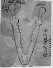 Wasserzeichen DE5580-Clm18462_175