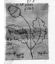 Wasserzeichen DE5580-Clm18783_5