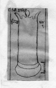 Wasserzeichen DE5580-Clm21648_220