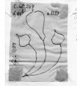 Wasserzeichen DE5580-Clm264_83b