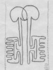 Wasserzeichen DE5580-Clm3568_167