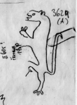 DE5580-Clm3629_XXX - Typ:0 - ID: 46076 - Eintrag Nr.: 19 Wasserzeichen DE5580-Clm3629_XXX