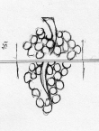 Wasserzeichen DE5580-Clm3686_145