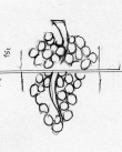 Wasserzeichen DE5580-Clm3686_152