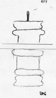 Wasserzeichen DE5580-Clm3686_206