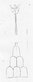 Wasserzeichen DE5580-Clm3705_6