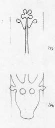 DE5580-Clm3709_277 - Typ:0 - ID: 46133 - Eintrag Nr.: 54 Wasserzeichen DE5580-Clm3709_277