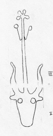 DE5580-Clm3710_II - Typ:0 - ID: 46141 - Eintrag Nr.: 55 Wasserzeichen DE5580-Clm3710_II