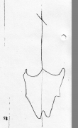 Wasserzeichen DE5580-Clm3757_0