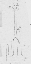 Wasserzeichen DE5580-Clm3789_256