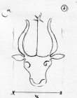DE5580-Clm3822_141 - Typ:0 - ID: 46372 - Eintrag Nr.: 23 Wasserzeichen DE5580-Clm3822_141