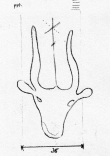 DE5580-Clm3822_144 - Typ:0 - ID: 46373 - Eintrag Nr.: 22 Wasserzeichen DE5580-Clm3822_144