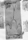 DE5580-Codgraec155_57 - Typ:0 - ID: 46627 - Eintrag Nr.: 72 Wasserzeichen DE5580-Codgraec155_57