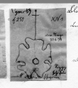 Wasserzeichen DE5580-Codgraec159_250