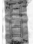 Wasserzeichen DE5580-Codgraec361_52