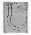 Wasserzeichen DE5580-Codgraec431_XX