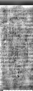 DE5580-Xylo16_5 - Typ:0 - ID: 46894 - Eintrag Nr.: 9 Wasserzeichen DE5580-Xylo16_5