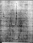 DE5580-Xylo36_19 - Typ:0 - ID: 46953 - Eintrag Nr.: 48 Wasserzeichen DE5580-Xylo36_19