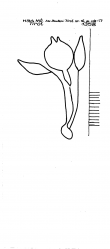 Wasserzeichen DE5910-PO-127206