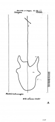 Wasserzeichen DE6075-PO-58252