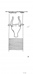 Wasserzeichen DE6225-PO-64465