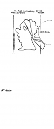 DE6255-PO-20601 - Typ:1 - ID: 49181 - Eintrag Nr.: 43 Wasserzeichen DE6255-PO-20601