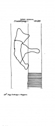 Wasserzeichen DE6300-PO-120234