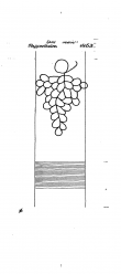DE6300-PO-128820 - Typ:1 - ID: 50955 - Eintrag Nr.: 315 Wasserzeichen DE6300-PO-128820