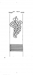 Wasserzeichen DE6300-PO-128952