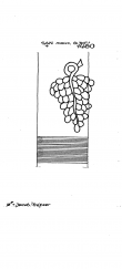 Wasserzeichen DE6300-PO-129182