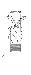 DE6300-PO-23677 - Typ:1 - ID: 52058 - Eintrag Nr.: 21 Wasserzeichen DE6300-PO-23677