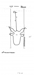 DE6300-PO-56543 - Typ:1 - ID: 53617 - Eintrag Nr.: 22 Wasserzeichen DE6300-PO-56543