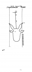 DE6300-PO-56560 - Typ:1 - ID: 53626 - Eintrag Nr.: 31 Wasserzeichen DE6300-PO-56560