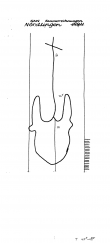 Wasserzeichen DE6300-PO-60144