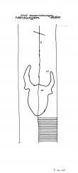 Wasserzeichen DE6300-PO-60189