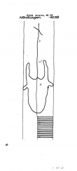 Wasserzeichen DE6300-PO-60287